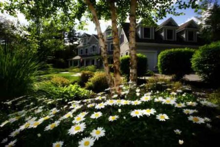 How to Give Your Yard an Eco-Friendly Makeover